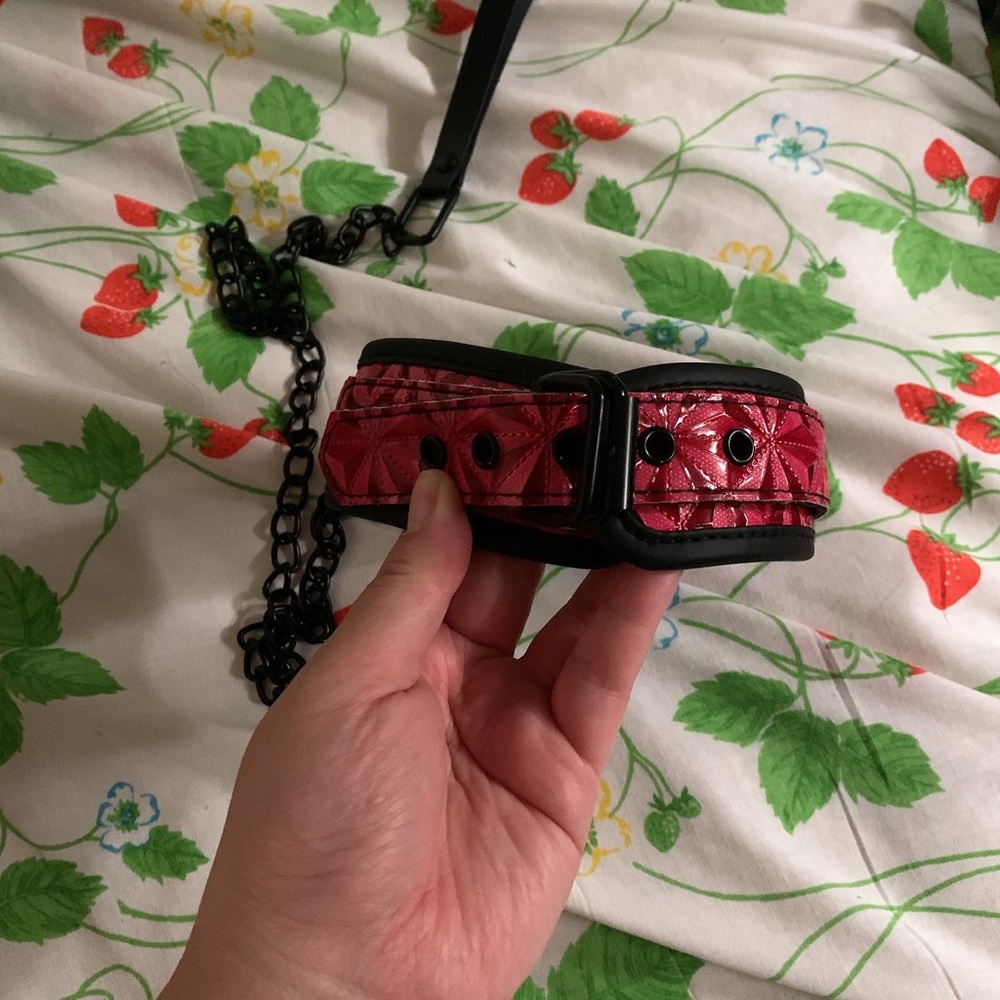 BDSM collar
